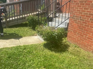 Bush Trimming by Cristian Ramirez for Sharon V. in Capitol Heights, MD