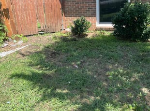 Leaf Removal by Adolfo Gonzalez Castaneda for Henry G. in DeSoto, TX