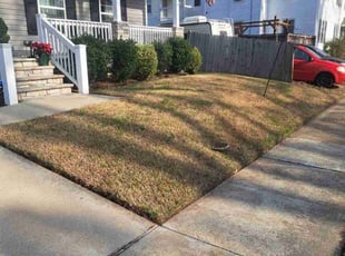 Leaf Removal by Trevor Philipp for Susan G. in Norfolk, VA