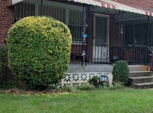 Bush Trimming by Allan Roberts for Ron B. in Washington, DC