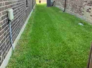 Justin T.'s Lawn Mowing service result