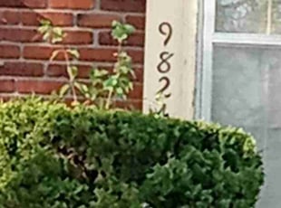 Bush Trimming by Lance Reynolds for Janis J. in Kansas City, MO