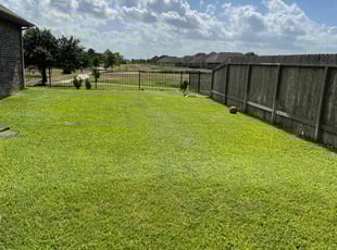 David R.'s Grass Cutting service result