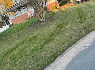 Sandra D.'s Lawn Maintenance service result