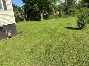 Allan M.'s Lawn Mowing service result