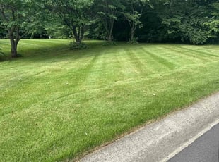 Cheryl R.'s Lawn Mowing service result