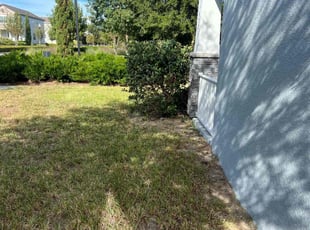 Bush Trimming by M&C Lawn Pro Services, LLC for Kathleen S. in Winter Garden, FL