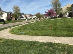 Harry P.'s Grass Cutting service result