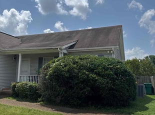 Bush Trimming by Austin Honnick for RaeAnn R. in Spring Hill, TN