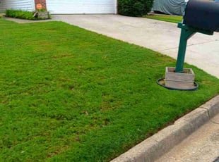 Terria B.'s Lawn Mowing Service service result