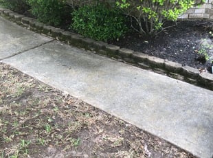 Leaf Removal by Omar MartÃnez for Ryan S. in Tomball, TX