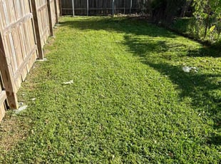 Dana C.'s Lawn Care service result