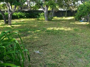 Ian K.'s Lawn Mowing Service service result