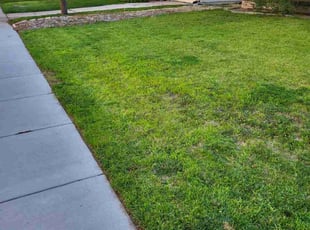 Cleanups by Kyle Verquer for Katie L. in Colorado Springs, CO