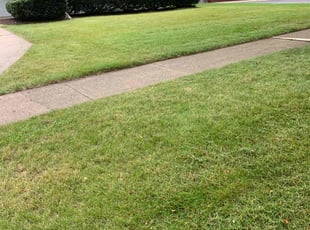 Chris C.'s Lawn Care service result