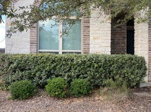 Bush Trimming by Bradley Matthiesen for Seth J. in Boerne, TX