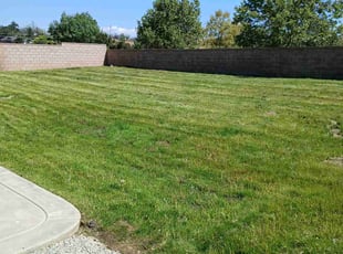 Carla B.'s Yard Cutting service result