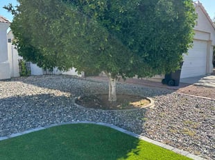 Cleanups by Christian (Chris) Cuevas Vargas for Kobby A. in Mesa, AZ