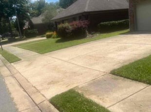 Sonya K.'s Lawn Care service result