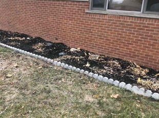 Weeding by Japheus Sanders for Jermaine S. in Warren, MI
