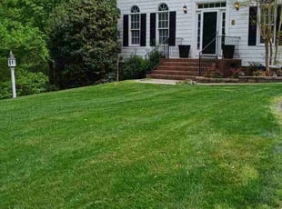 Garrett C.'s Lawn Mowing service result