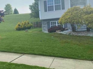 Justin E.'s Lawn Mowing service result