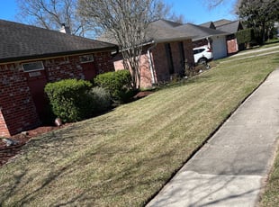 Bush Trimming by Carl George for Ladriyka D. in Baton Rouge, LA