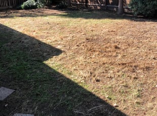 Cleanups by Johnie Parker for Jamie D. in Fresno, CA
