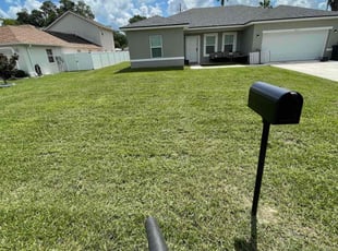 Tommy C.'s Lawn Care service result