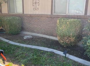Bush Trimming by Scott Ellis for Chris W. in Boise, ID