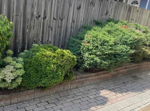 Cleanups by Darren Burch for Tony W. in Philadelphia, PA