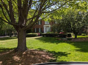 Samuel H.'s Lawn Mowing Service service result