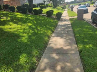 Michael B.'s Lawn Care service result