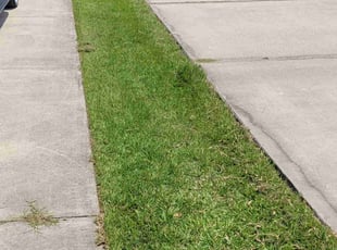 Weeding by Jovan Johnson for Alizé C. in Kissimmee, FL