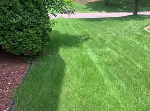 Rhonda J.'s Lawn Maintenance service result