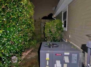 Bush Trimming by Jonathan Young for Andrew D. in Madison, AL