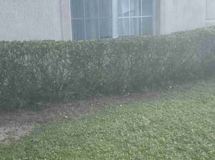Bush Trimming by Richard Rhoden for Melissa P. in Kissimmee, FL