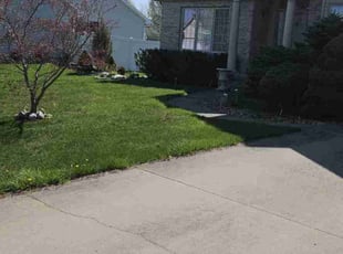 Shaun D.'s Lawn Mowing service result