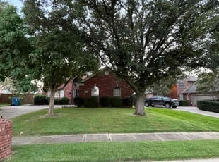 Mitchell R.'s Lawn Service service result