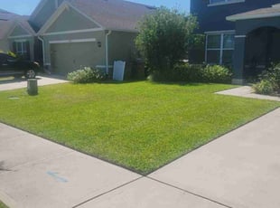 Amanda L.'s Lawn Mowing Service service result