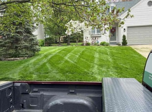 Beverly N.'s Lawn Mowing Service service result