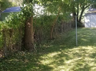 Bush Trimming by Roger Nickell II for Amy F. in Independence, MO