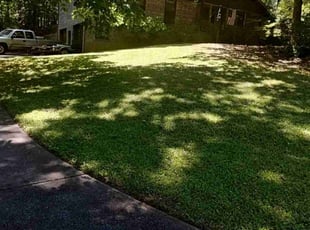 Pat M.'s Lawn Mowing Service service result