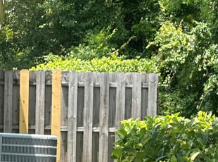 Bush Trimming by Chantel Baker for Ivana I. in Jacksonville, FL