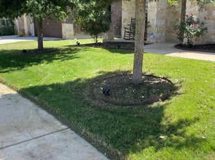 Pailina T.'s Lawn Service service result