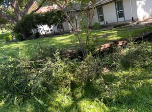 Bush Trimming by Alma Avila for Mo P. in Rockwall, TX