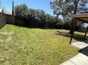 Daniel A.'s Lawn Service service result