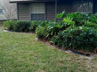 Bush Trimming by James Stuckey for Larry C. in Orlando, FL