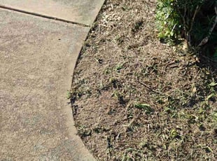 Weeding by Jayden Long for Roxanne F. in Loganville, GA