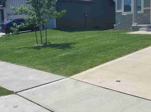 Tony A.'s Lawn Mowing service result